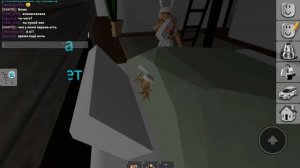 ищу маму пиши я Brookhaven в roblox!