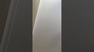 имитация Люхайдана