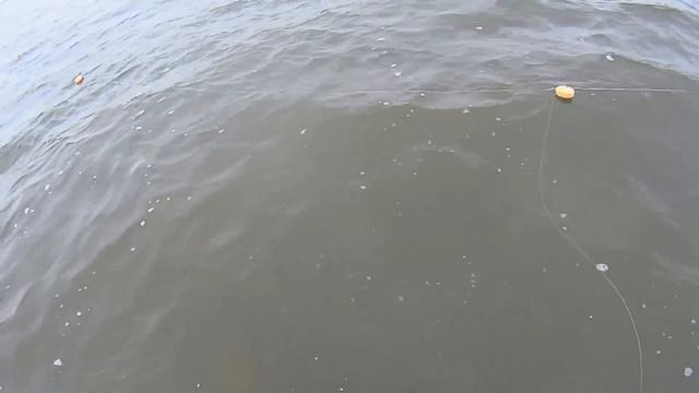 Ловля сига сетями на Крайнем Севере. Попала утка в сети.Fishing nets. смотреть онлайн