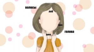 Изучаем части лица