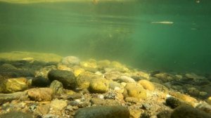 Рыбалка в декабре. где, кого, на что и как ловить