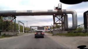 Утки в Сургуте