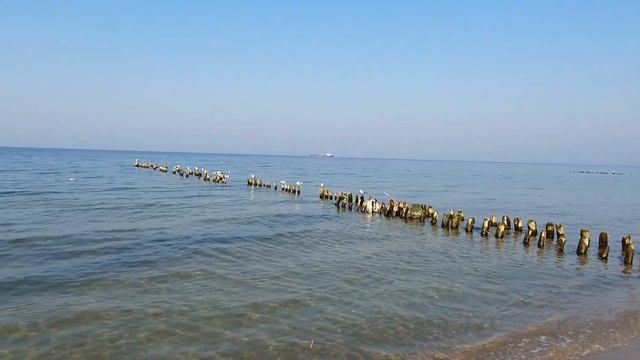 Пионерский - что нового ? Калининградская область #калининградскаяобласть#пионерский#балтийскоеморе