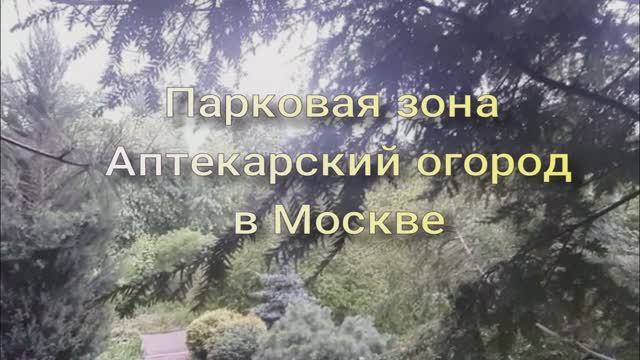 АПТЕКАРСКОИЙ огород в ЦЕНТРЕ МОСКВЫ. ПАРКОВАЯ ЗОНА. ЩЕБЕЧУТ ПТИЧКИ