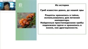 История гриба Рейши