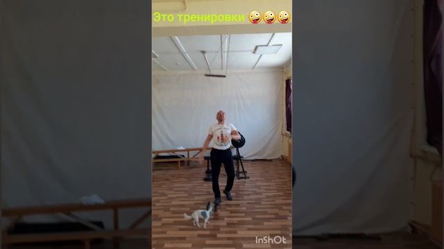 Стимул ваших тренировок - это разнообразие упражнений и вариации в них !!! ????