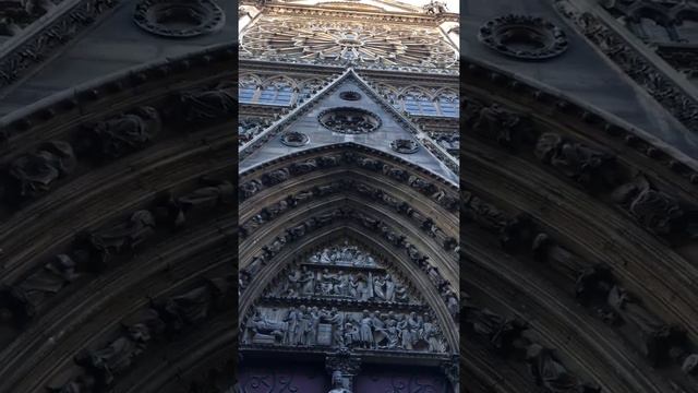 Notre Dame Bells - Paris October 2017