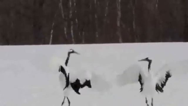 Ты, прощаясь, шептала на ухо смотреть онлайн