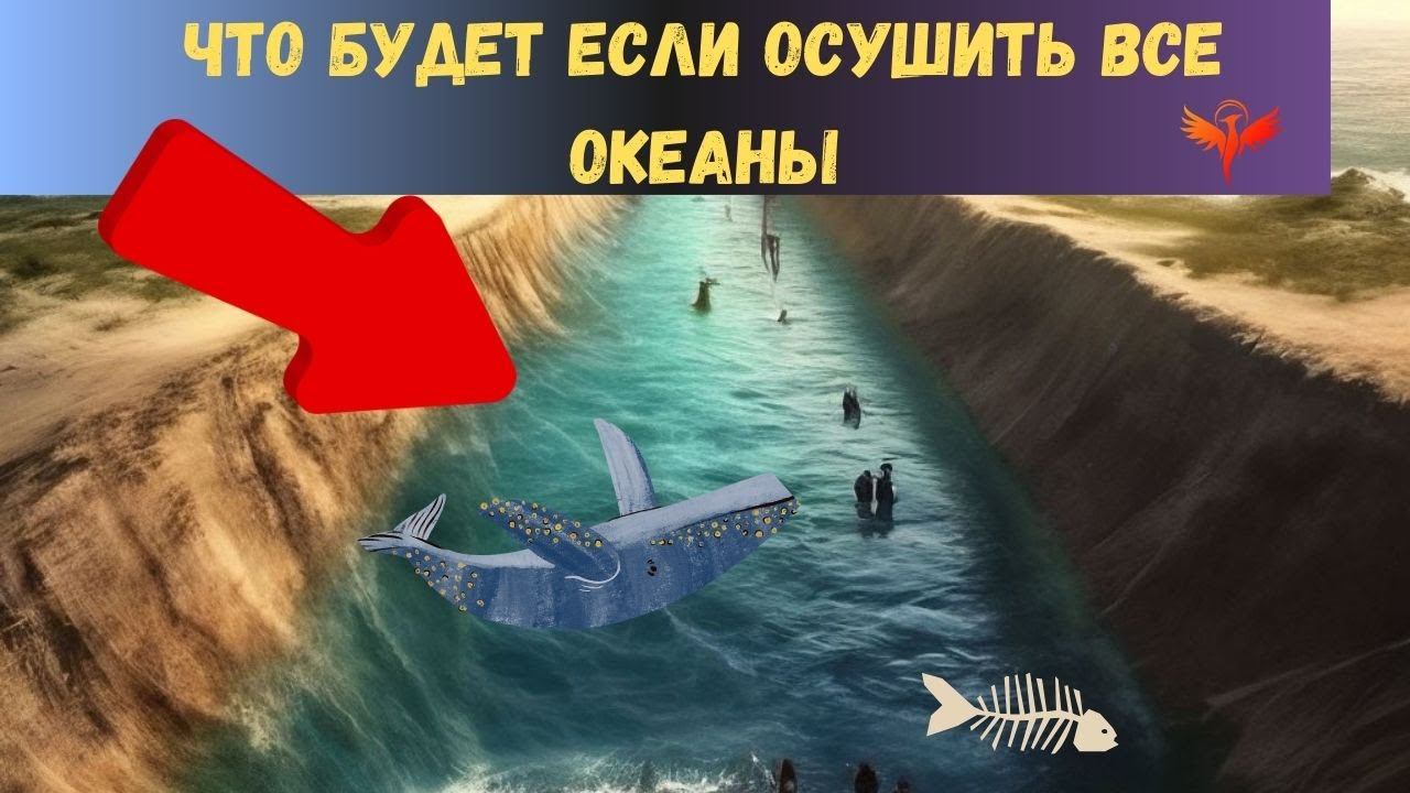 Что будет если осушить все океаны и моря? #феникс #чтобудетесли