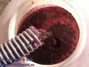 Мезганасос и дробилка для винограда ЛОЗА-М