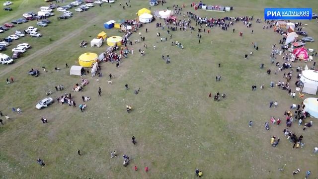 Фестиваль тюльпанов прошел в Городовиковском районе смотреть онлайн