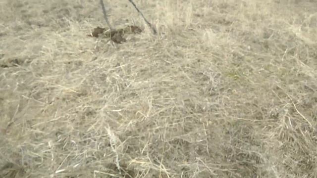 Коп металлолома! от 6.04.2019 Открытие сезона 2019. смотреть онлайн