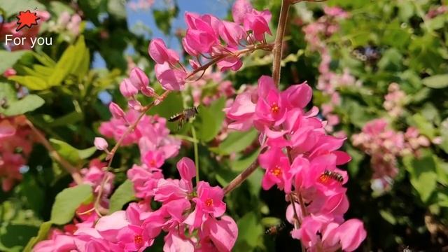 Сказка о любви. Если нравится подпишись и поставь лайк!!!? смотреть онлайн