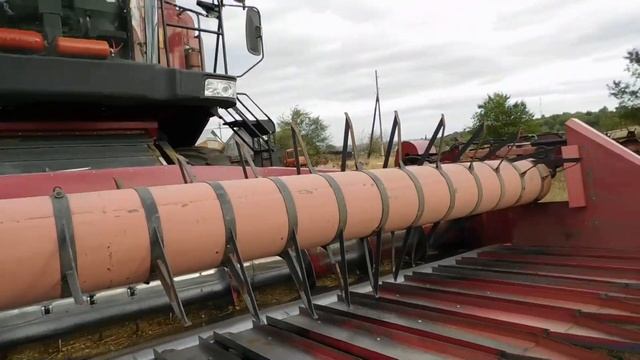 Комбайн Палессе GS10. Отзывы и советы комбайнёра #7(приспособление для уборки подсолнечника) смотреть онлайн