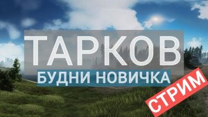 ✅800 Часов | Новичек в Таркове | EoD | PvP