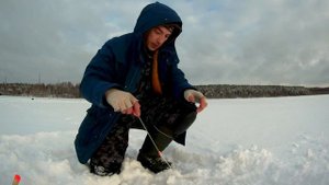 Озеро Зеркальное. Ловля Подлещика. Как сейчас выглядит лагерь Зеркальный. Просто Шикарная Рыбалка.