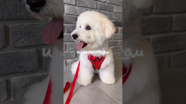Хочется быть к тебе ближе ❤️