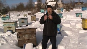КАК СЛУШАТЬ ПЧЕЛ ЗИМОЙ