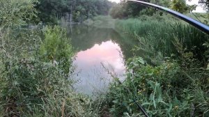 Рыбалка. ВЕНДЕТТА КАРАСЮ ЗА ПОПЛА-ПОППЕР ! ловля карася .карась на озере !