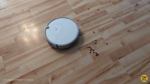 Roborock E5 Robot Vacuum Cleaner - The BEST BUDGET Roborock Yet?