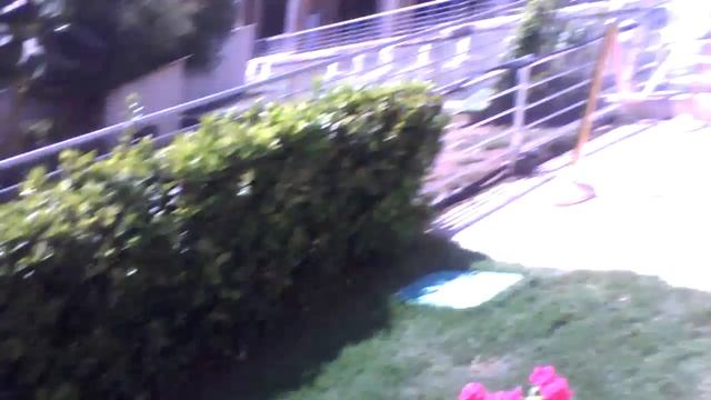 Vlog Турция я сломала коренные зубы смотреть онлайн