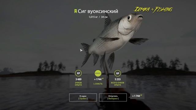 Русская рыбалка 4.?? Ладожский Архипелаг ??? ГДЕ ЛОВИТ LATORSO ? смотреть онлайн