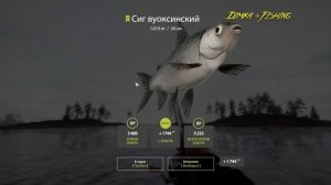 Русская рыбалка 4.?? Ладожский Архипелаг  ??? ГДЕ ЛОВИТ LATORSO ?