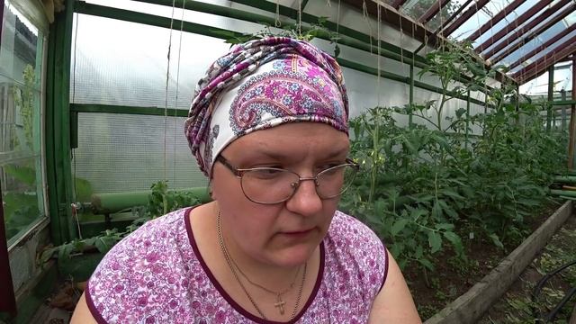 Томаты. Как получить хорошую завязь? смотреть онлайн