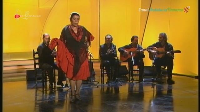 Tientos y Tangos. Angelita Vargas. 2008 смотреть онлайн