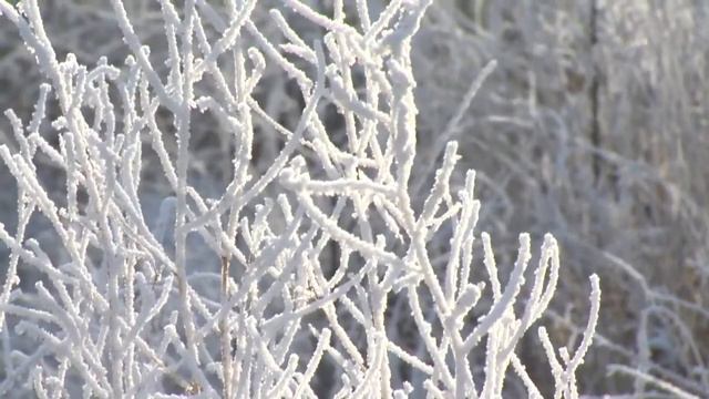 Чита. Эстафета Олимпийского огня. 21.11.2013. День 46. смотреть онлайн