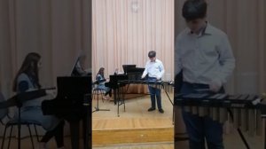 Богорубов Станислав 1-ый год обучения (ШМВ) - Л. Бетховен "Турецкий марш" (ксилофон)