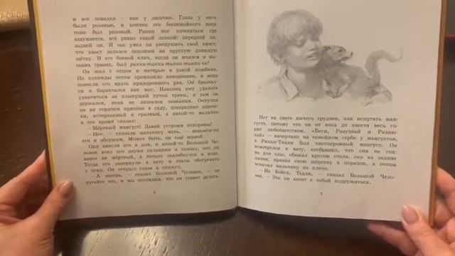 Литературный час «Сказочные джунгли Киплинга» смотреть онлайн