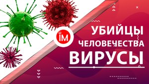 Вирусы, унесшие миллионы жизней!