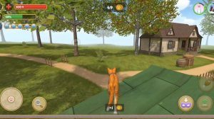 играю за кота в игре cat simulator | 1 часть #реки