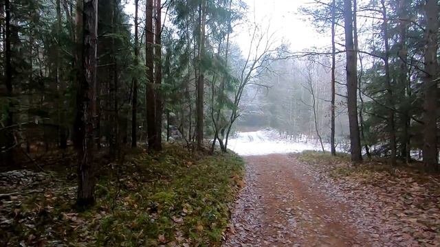 Загонная ОХОТА. Первый СНЕГ. 27 ноября 2021г.