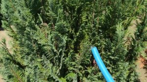 Кондиционер от скважины ( расширяем), очень эффективно! A/C from the deep well, very effective!