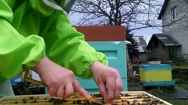 Улей "Нижегородец" Ставлю второй корпус,расширяю семью. смотреть онлайн