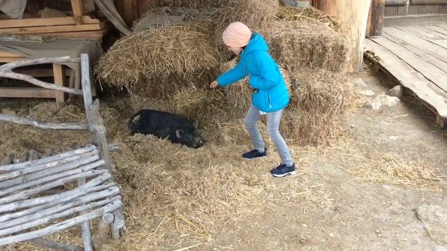 Кинопарк "ВИКИНГ" /Влог смотреть онлайн