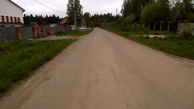 Самый большой муравейник в мире. Заварзинская лесная дача. смотреть онлайн