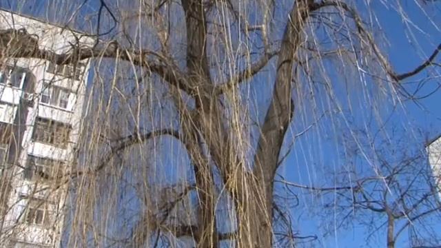 Кременчуг. Где наши грабли? смотреть онлайн