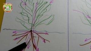 Лучшее время для борьбы с сорняками в мае 2019 года. Когда использовать гербициды? Это важно знать.
