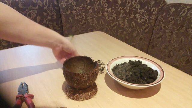 Делаем горшок для цветов из кожуры Кокоса смотреть онлайн