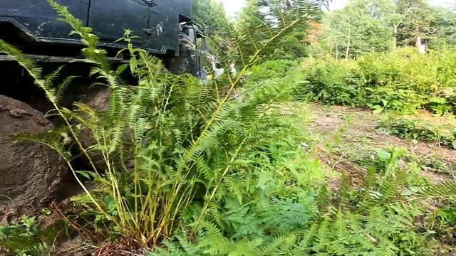 ДЕРЕВО ПРОБИЛО ЛОБОВОЕ СТЕКЛО ЗИЛ 131?. ЕДЕМ В ТАЙГУ, строить место для отдыха, стол №9. смотреть онлайн