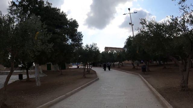Dome of the Rock Храмовая гора Temple Mount Walking Israel Jerusalem   圣殿山  Золотой купол над скало
