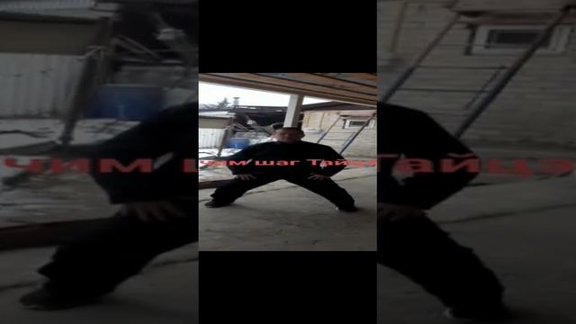 Се Син ао бу тайцзи цюань