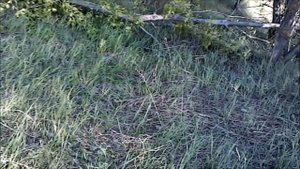 где безопасно ставить палатку!