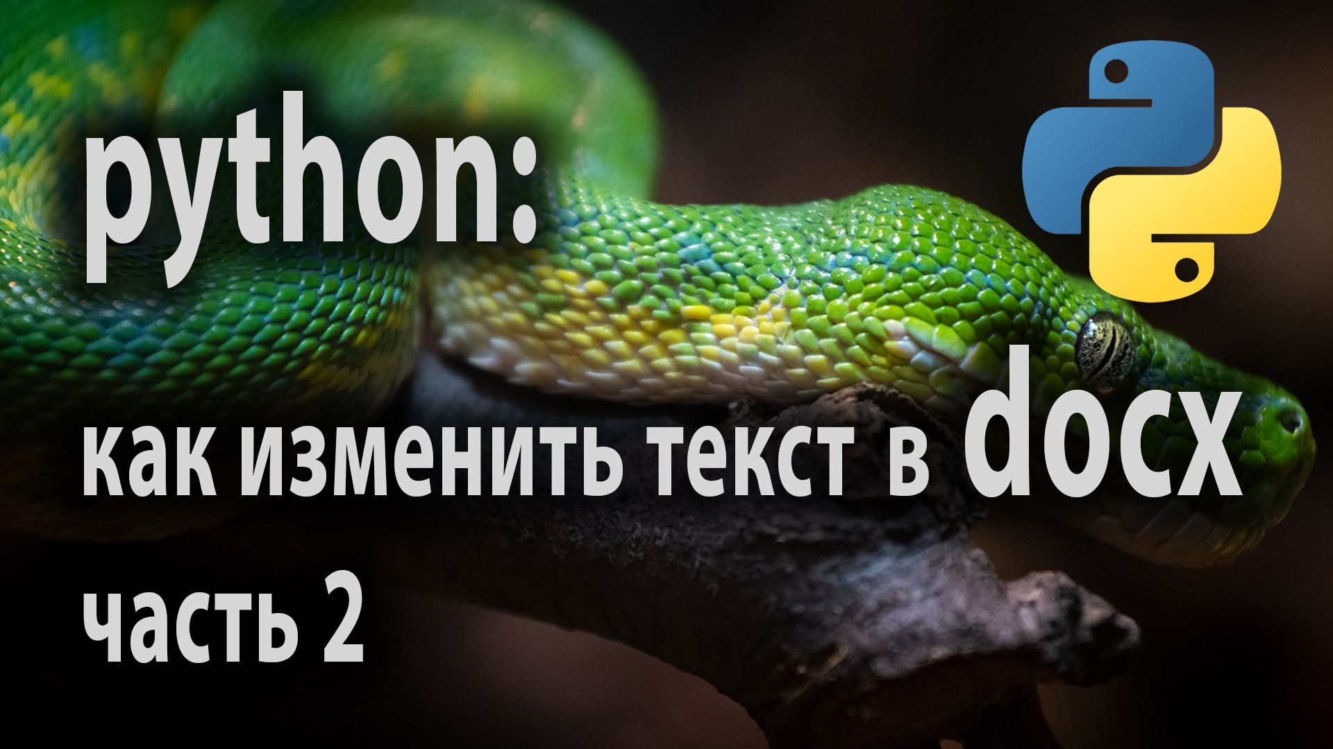 Как изменять текст в word с помощью языка Python в среде PyCharm? Меняем параграфы таблицы и шрифты