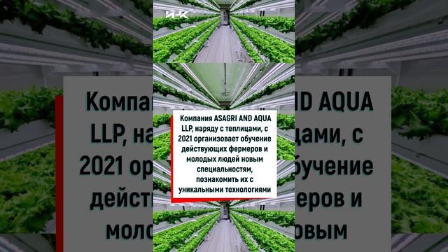 Проект по вертикальному земледелию в Азии, вертикальные фермы, сельское хозяйство, наука ИНК #shorts