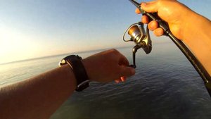 БЫЧОК НА КАЖДОМ ЗАБРОСЕ. Азовское море.