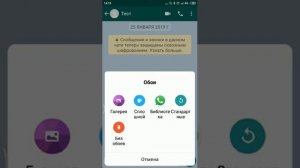 Обои для Ватсап – фон в WhatsApp красивые картинки в чат